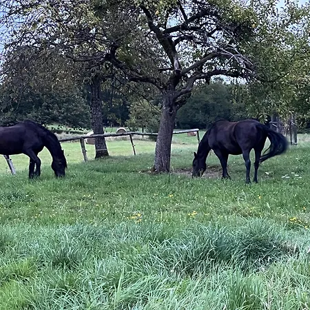 Duplex - Gr Appartamento Wingen